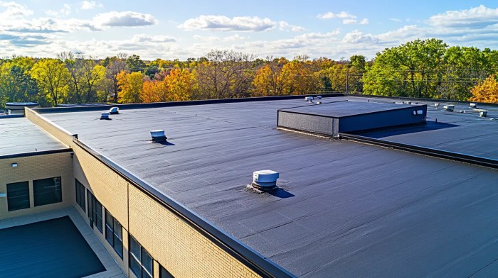 Flat Roof Replacement Costs Demystified (Calculator Included!) - Chase ...