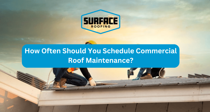 Commercial Roof Maintenance Plan: Hidden ROI Revealed