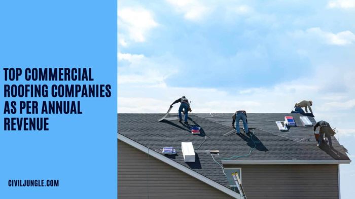 Top Roofing Companies in the U.S.: A Comprehensive Guide to the Best ...