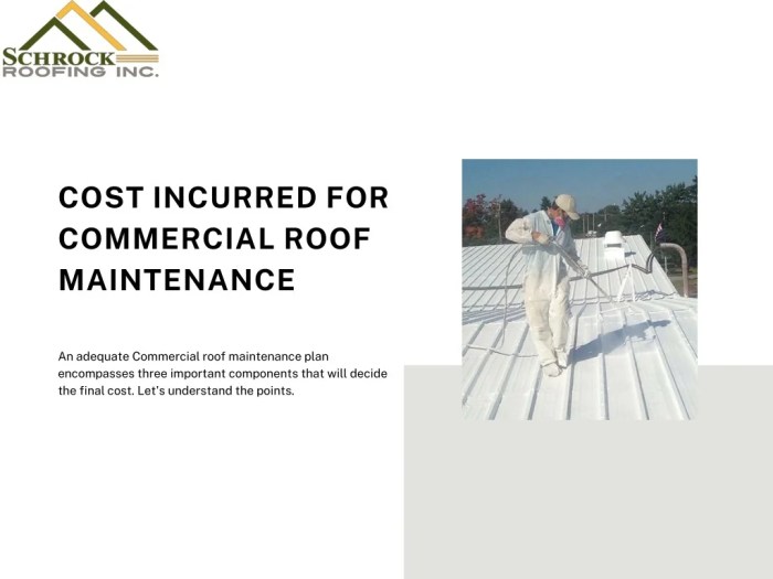 Understanding the Importance of CommercialRoof Service and Maintenance ...