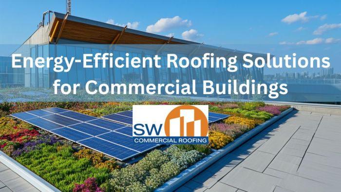How Energy-Efficient Roofs Transform Commercial Buildings