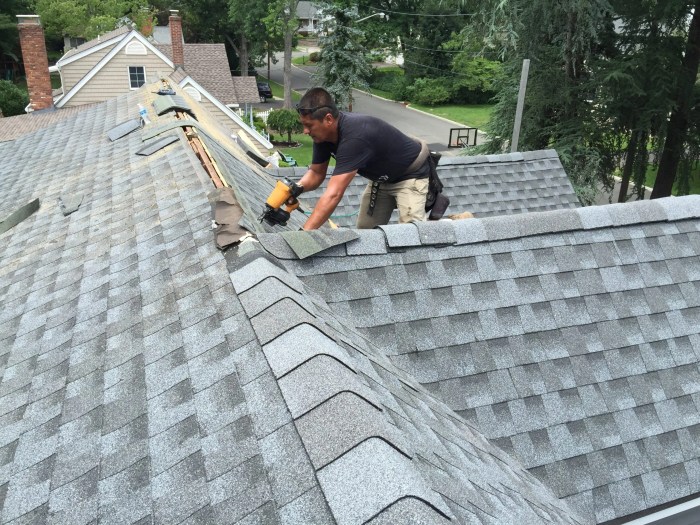 Trusted Roof Replacement Services | Commercial Roof Replacement, Roof ...